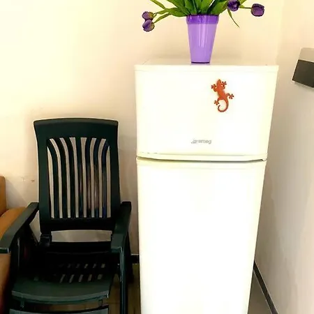 Apartment Flower - 5min Dalla *