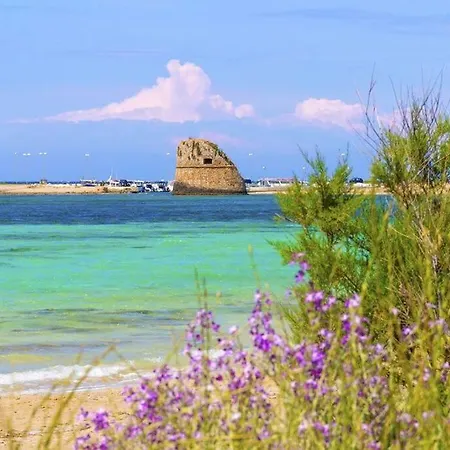 Flower - 5min Dalla * Torre Canne